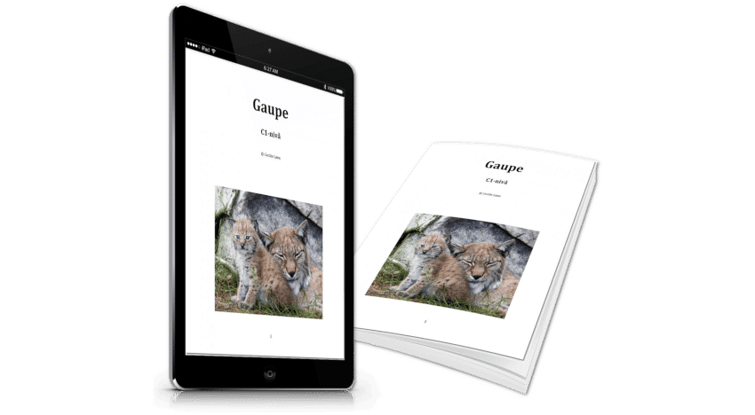 Gaupe C1 | Dokument i prosess course image
